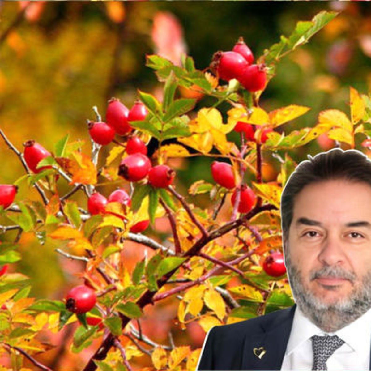 Kapsułki Harmonia Serca